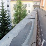 Ochrana proti holubům